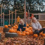 What Seasonal Decorations Brighten Children’s Play Areas?